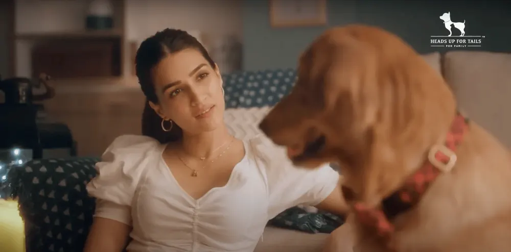 HUFT Everything Your Pet Needs Kriti